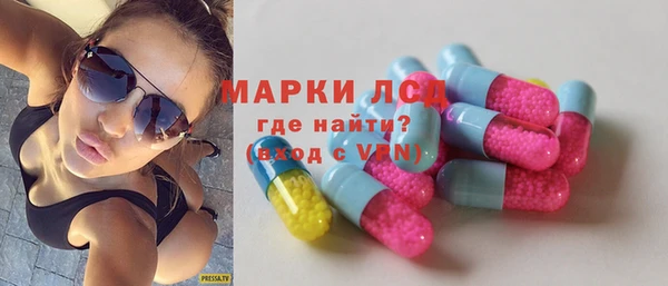 шишки Дмитриев