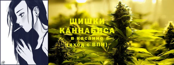 прущие крисы Пролетарск