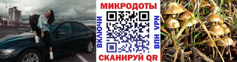 где можно купить наркотик  shop состав  Галлюциногенные грибы MAGIC MUSHROOMS  Искитим 