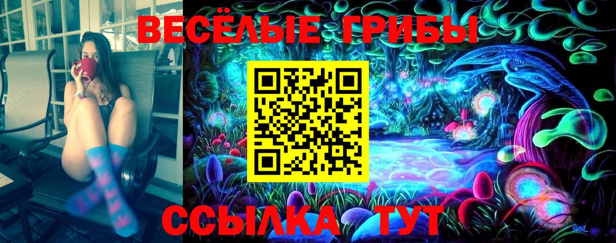 Псилоцибиновые грибы Cubensis Искитим