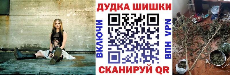 Бошки Шишки план  Искитим 