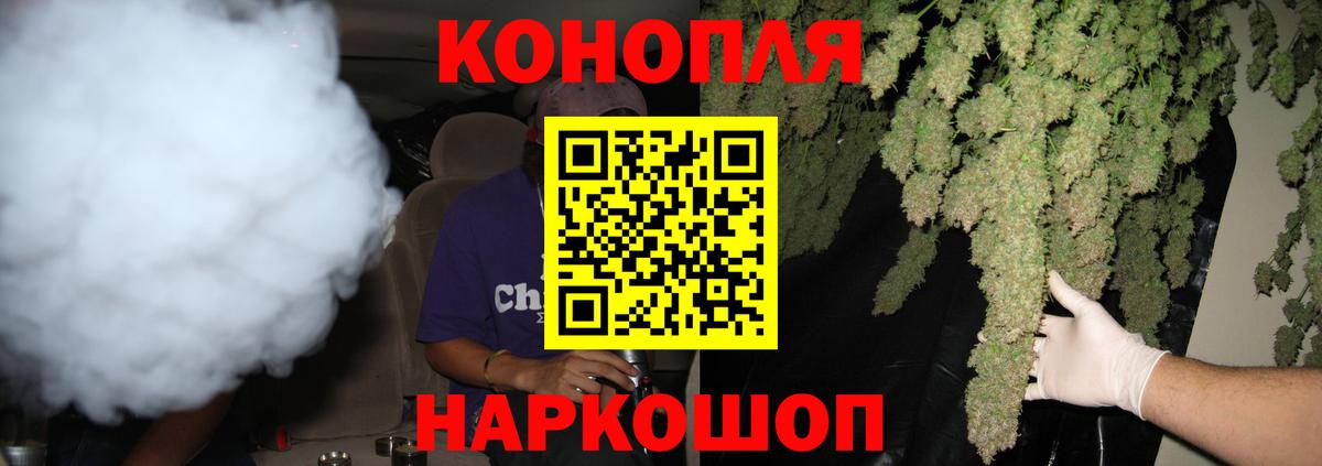 Конопля сатива Искитим